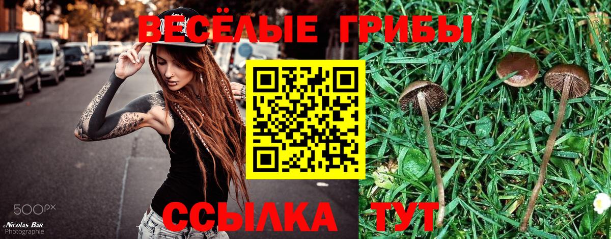 ГЕРОИН Знаменск