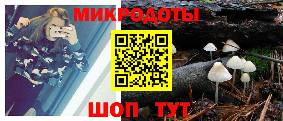 Знаменск  Галлюциногенные грибы прущие грибы  Вход с VPN  Галлюциногенные грибы ЛСД 